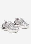 Sneakers Argintii