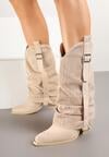 Botine Bej