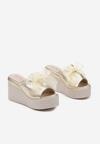 Arany Papucs