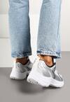 Sneakers Argintii