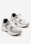 Sneakers Argintii