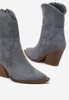 Botine Albastre