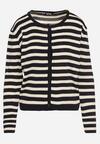 Cardigan Albastru