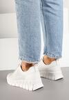 Sneakers Albi