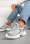 Sneakers Argintii