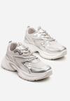 Sneakers Argintii