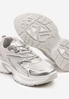 Sneakers Argintii