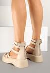 Botine Bej