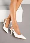 Pantofi stiletto Albi