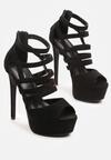 Pantofi stiletto Negri