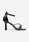 Pantofi stiletto Negri