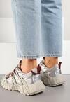 Sneakers Argintii