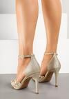 Pantofi stiletto Aurii