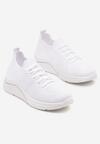 Pantofi sport Albi