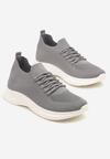 Pantofi sport Gri