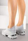Pantofi sport Gri