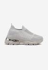 Pantofi sport Gri