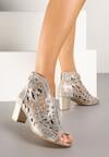Botine Aurii