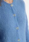 Cardigan Albastru