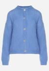 Cardigan Albastru