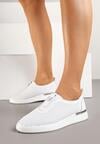Pantofi casual Albi