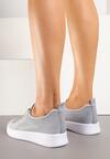 Pantofi sport Gri