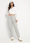 Pantaloni Gri deschis