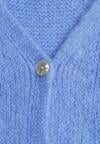 Cardigan Albastru