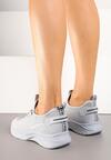 Pantofi sport Gri