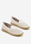 Pantofi casual Albi