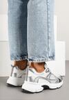 Srebrne Sneakersy w Streetwearowym Stylu z Siateczkowymi Zdobieniami Dorelline