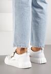 Sneakers Albi