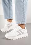 Biało-Szare Sneakersy z Ozdobnymi Przeszyciami Alentia