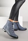 Botine Albastre