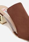 Brązowe Klapki na Niskim Słupku ze Skórzaną Wkładką i Transparentnymi Wstawkami Neya