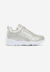 Srebrne Sneakersy Cannet