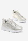 Srebrne Sneakersy Cannet