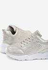 Srebrne Sneakersy Cannet