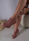 Botine Roz