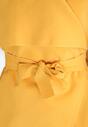 Żółty Płaszcz Whiptail
