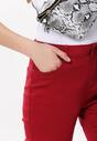 Ciemnoczerwone Spodnie Prevenancy