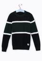 Ciemnozielony Sweter Swanbank