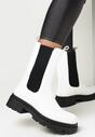Botine Negre