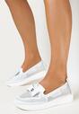 Pantofi casual Albi
