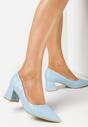 Pantofi cu toc Albaștri