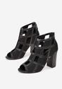Botine Negre