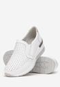 Pantofi casual Albi