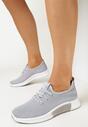 Pantofi sport Gri