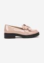 Pantofi casual Roz