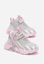 Pantofi sport Gri